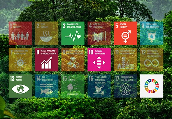 Sustainability for Organic Social