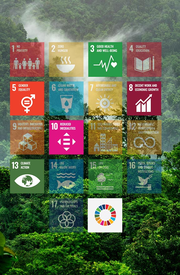 Sustainability for Organic Social